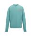 Mens Nithsdale Back Print Sweatshirt Arctic Green Regatta-2