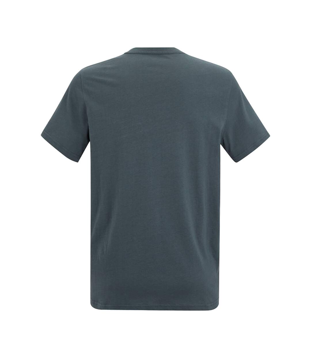 T-shirt Motif/style Graphique Breezed Homme Orage Foncé Regatta-3