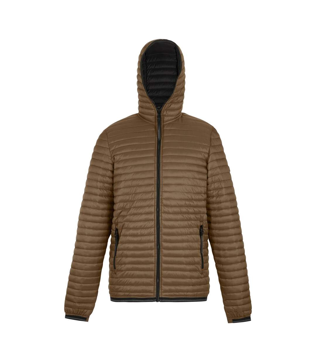 Doudoune Matelassée Rigain Homme Marron Noir Regatta-2