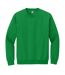 Sweat Adulte Vert Irlandais Gildan-2