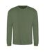 AWDis Adults Unisex Just Hoods Sweatshirt (Earthy Green) - UTPC3798