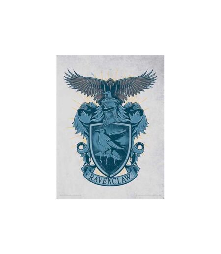 Harry Potter - Poster (Bleu / Marron / Vert) (40 cm x 30 cm) - UTPM3997