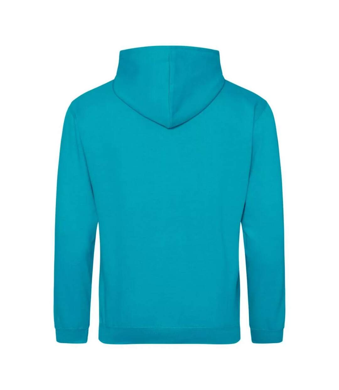 Sweat À Capuche College Adulte Bleu Lagon Awdis-2