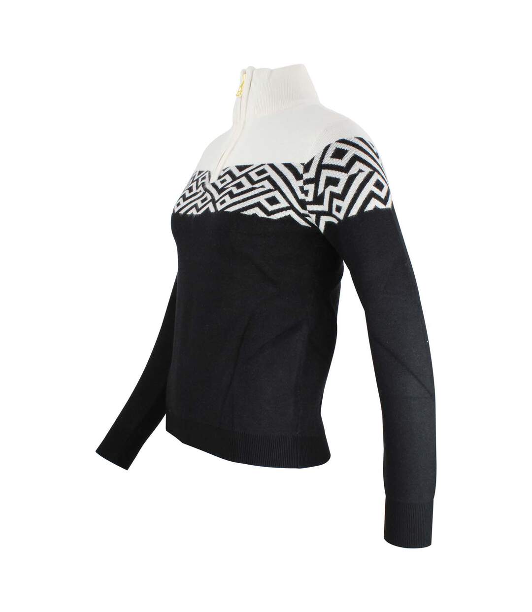 Pull col roulé AKAR-2