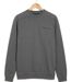 CHALLENGER BULGARE1 — Sweat col rond gris : style décontracté et finitions soignées-2