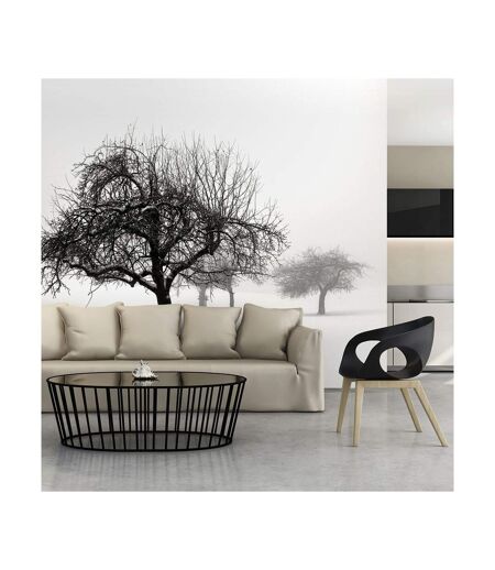 Papier Peint Hiver Arbres II 450x270cm