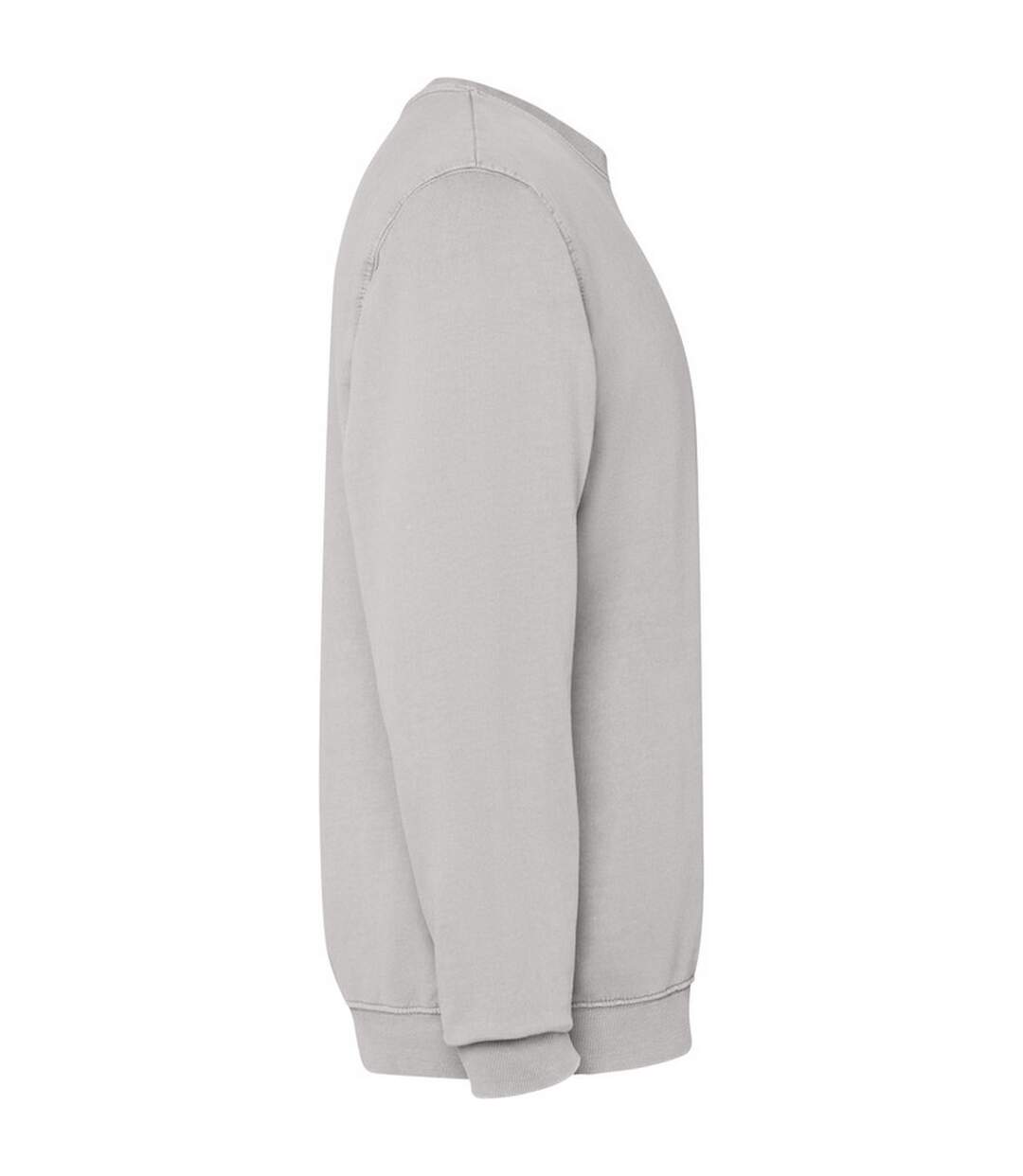 Sweat Jaya Adulte Gris Roly-4