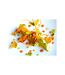 Etoilé au Guide MICHELIN 2022 : 1 déjeuner gastronomique en tête-à-tête dans un château à Amboise - SMARTBOX - Coffret Cadeau Gastronomie