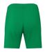 Short Domicile Motif/style Irlande Homme Vert Joyeux Castore-2