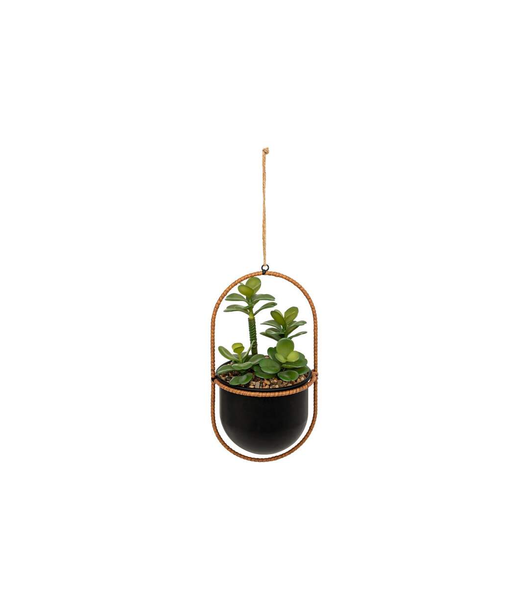 Plante Artificielle Suspendue Tyla 31cm Noir-1