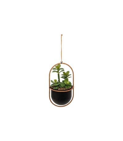 Plante Artificielle Suspendue Tyla 31cm Noir