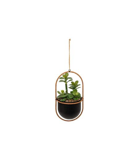 Plante Artificielle Suspendue Tyla 31cm Noir