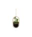 Plante Artificielle Suspendue Tyla 31cm Noir-1