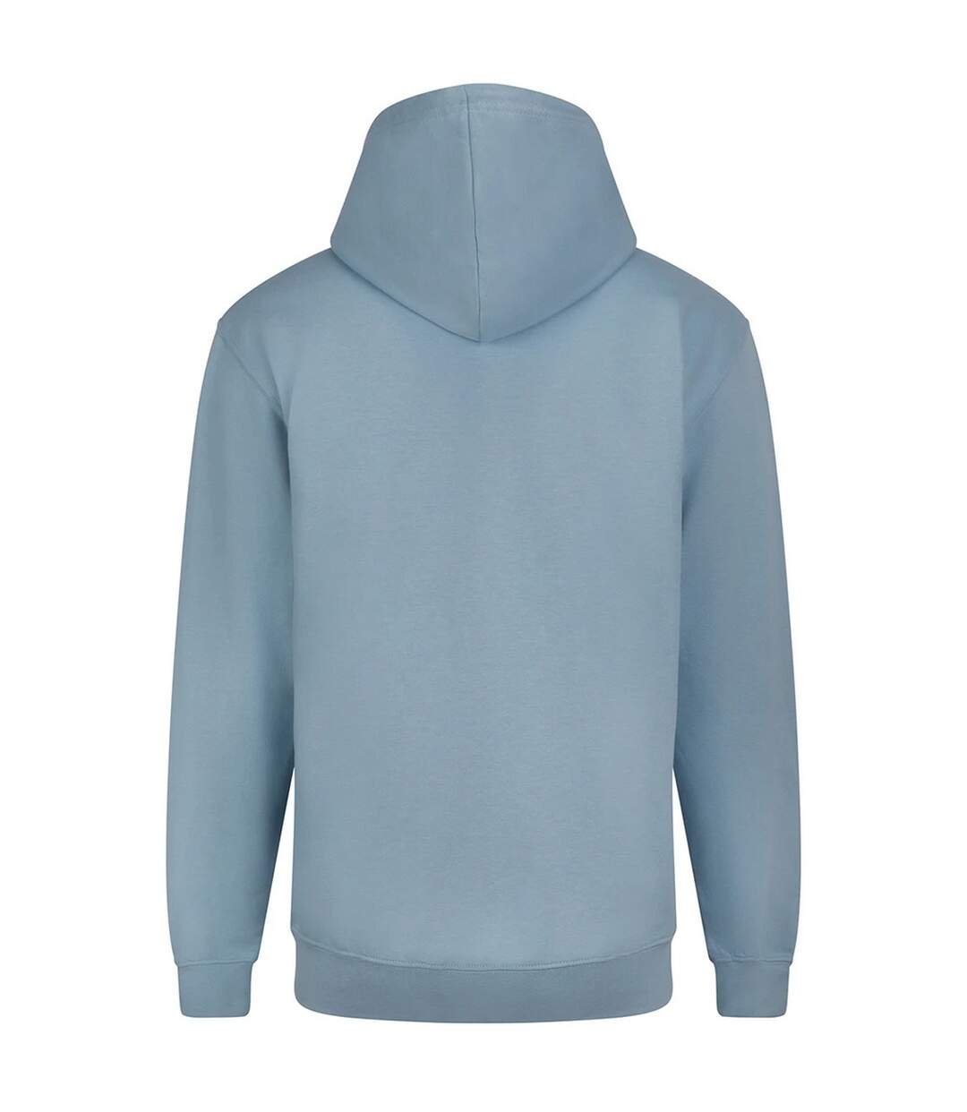 Veste À Capuche Motif/style Uni Homme Bleu Ciel Awdis-2