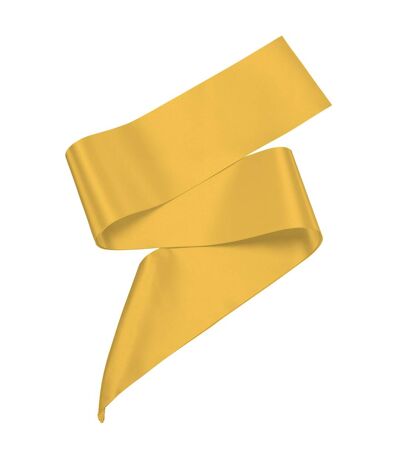 Ready Range Polyester Ribbon Sash (Gold) (One Size) - UTRW4563