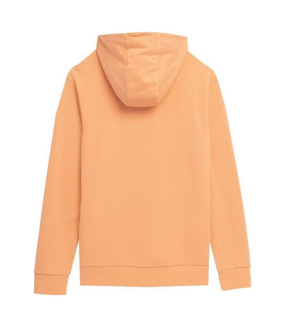 Sweat À Capuche Ss23tswsm266 Homme Beige 4F-2