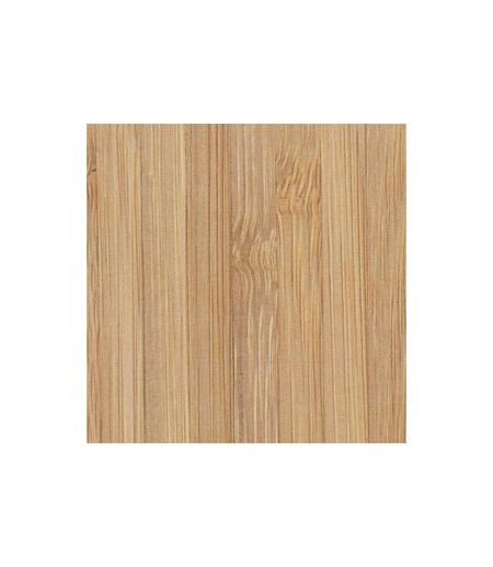 Tapis de Salle de Bain Diatomite 39x60cm Naturel