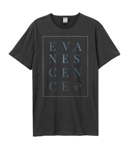 Unisex adult block evanescence t-shirt charcoal Amplified