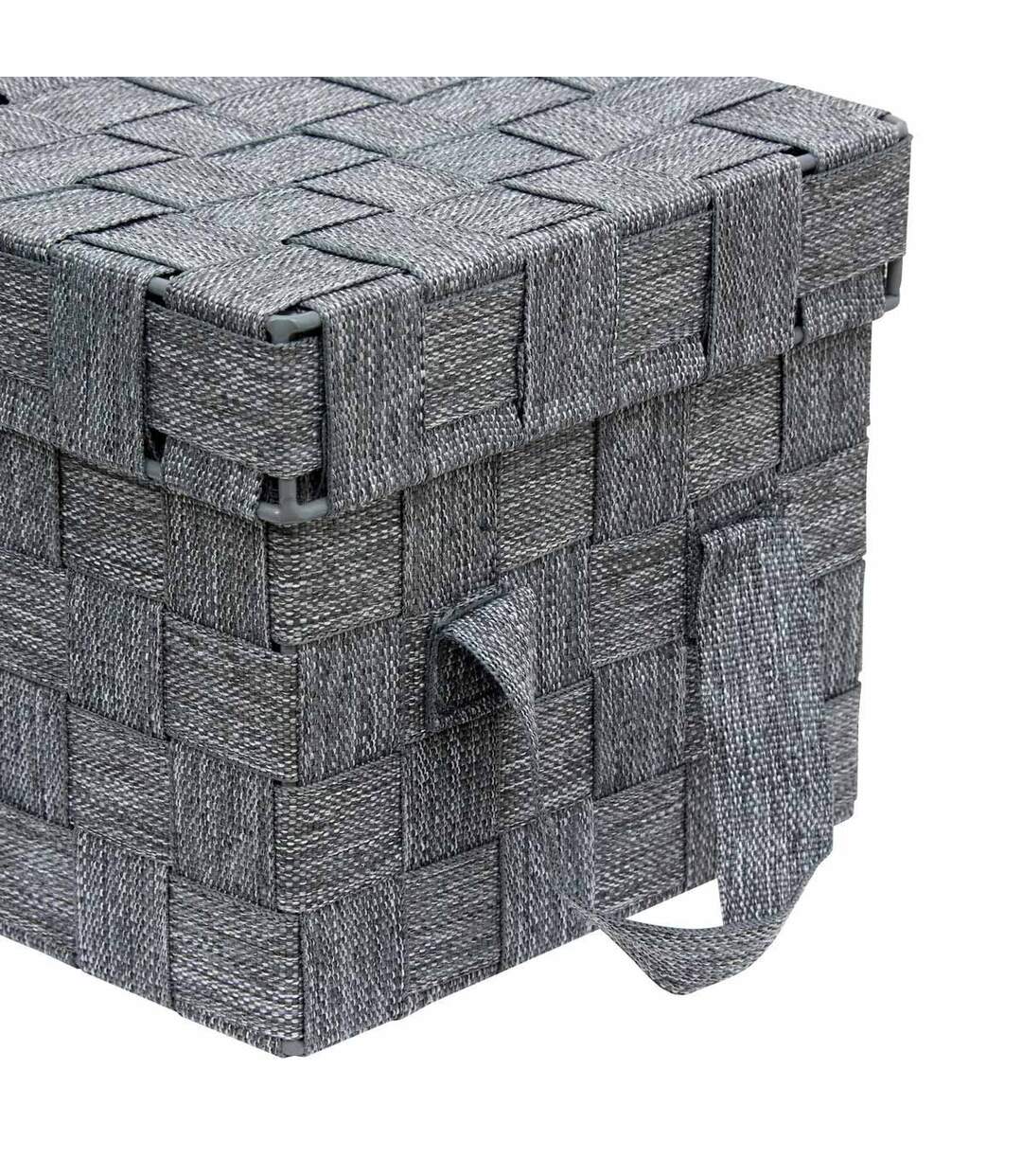 Lot de 2 Boîtes de Rangement Lise 35cm Gris-4