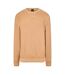 Mens Crew Neck Regular Long-sleeved Sweatshirt Medium Beige Boss-1