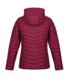 Regatta Womens/Ladies Voltera Loft Walking Insulated Jacket (Purple Potion) - UTRG5341