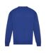 Sweat adulte bleu roi vif Awdis