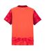 Maillot De Gardien De But Motif/style Puma 25/26 Homme Rouge Vif SE Palmeiras-3