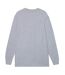 Dickies Mens Luray Pocket Long-Sleeved T-Shirt (Charcoal)