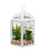 Terrarium Cage Déco Fleur de Rose 23cm Blanc-1