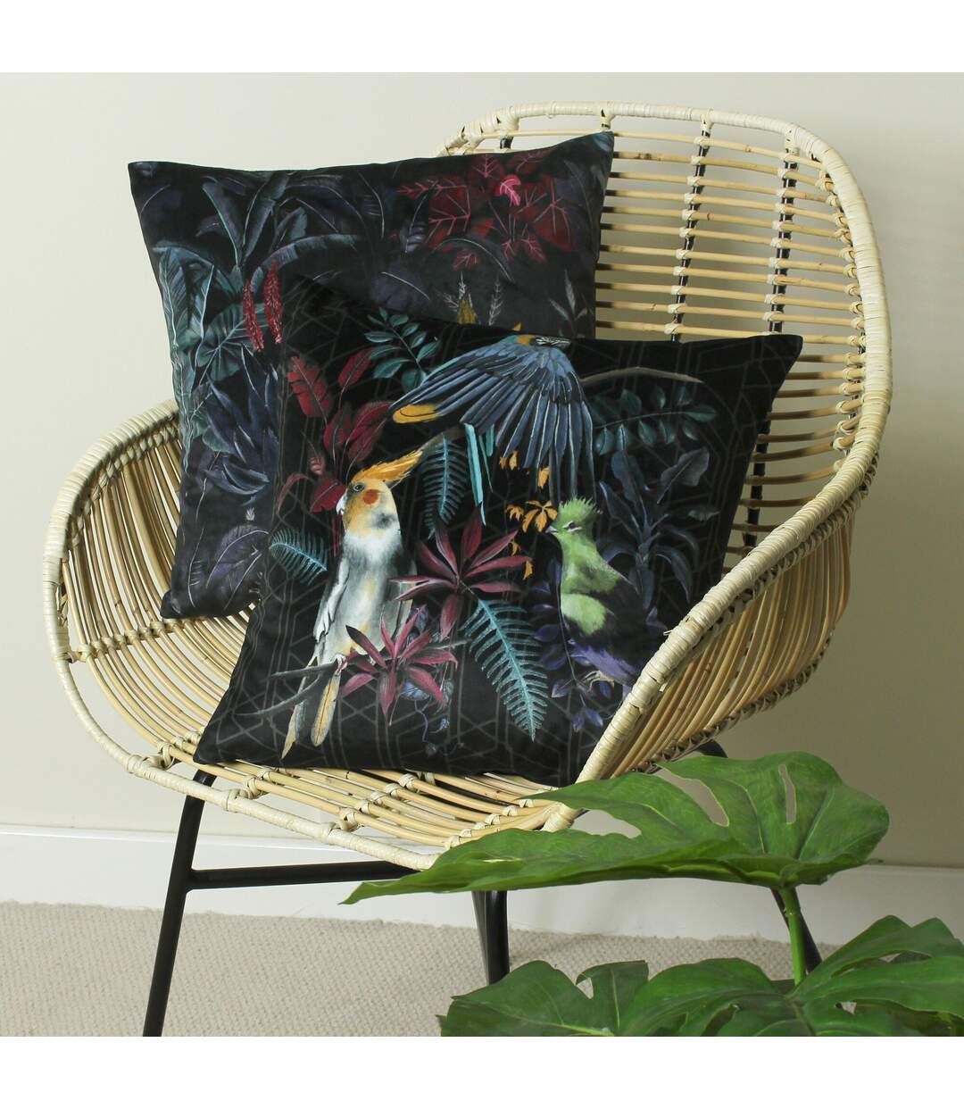 Zinara bird cushion cover 43cm x 43cm multicoloured Evans Lichfield-4