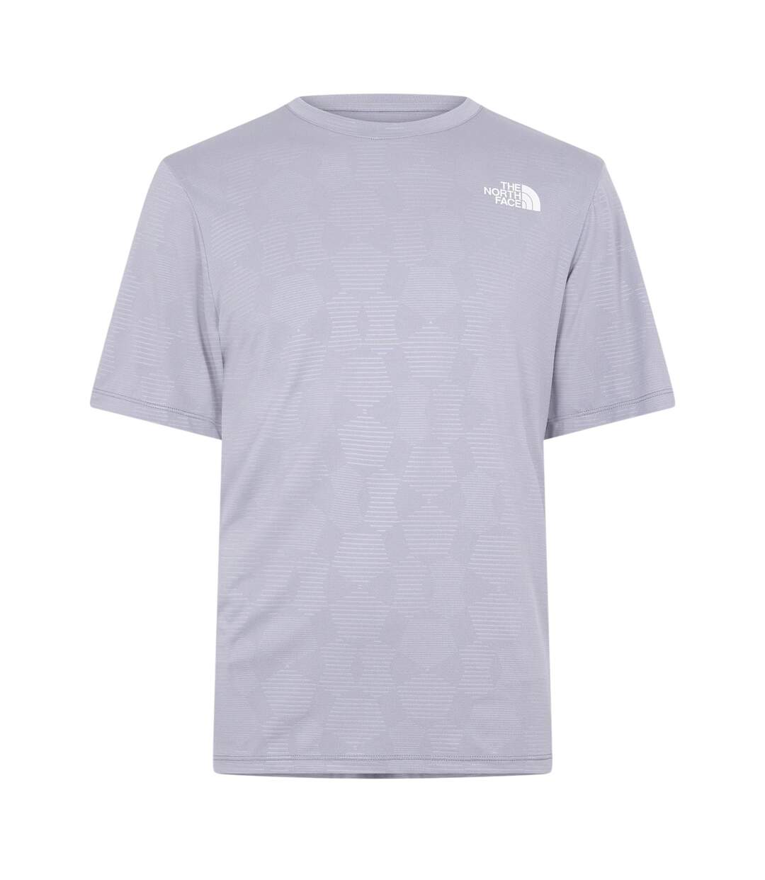 T-shirt 24/7 Homme Argenté The North Face-1