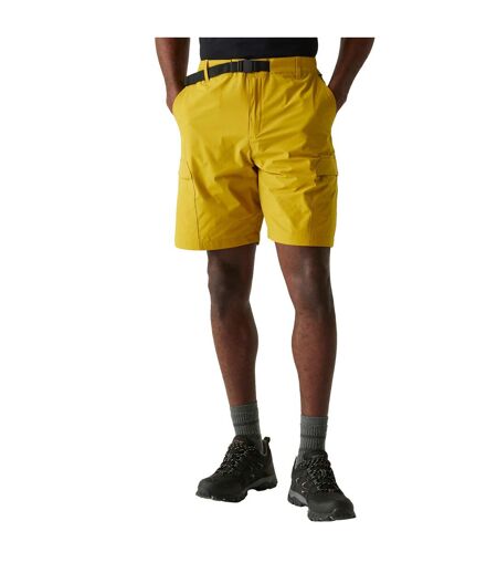 Short Mallen Homme Moutarde Regatta