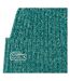 Bonnet vert mixte lacoste rib-2