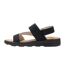 Womens/ladies Rylie Zebra Print Sandals Black Regatta-3
