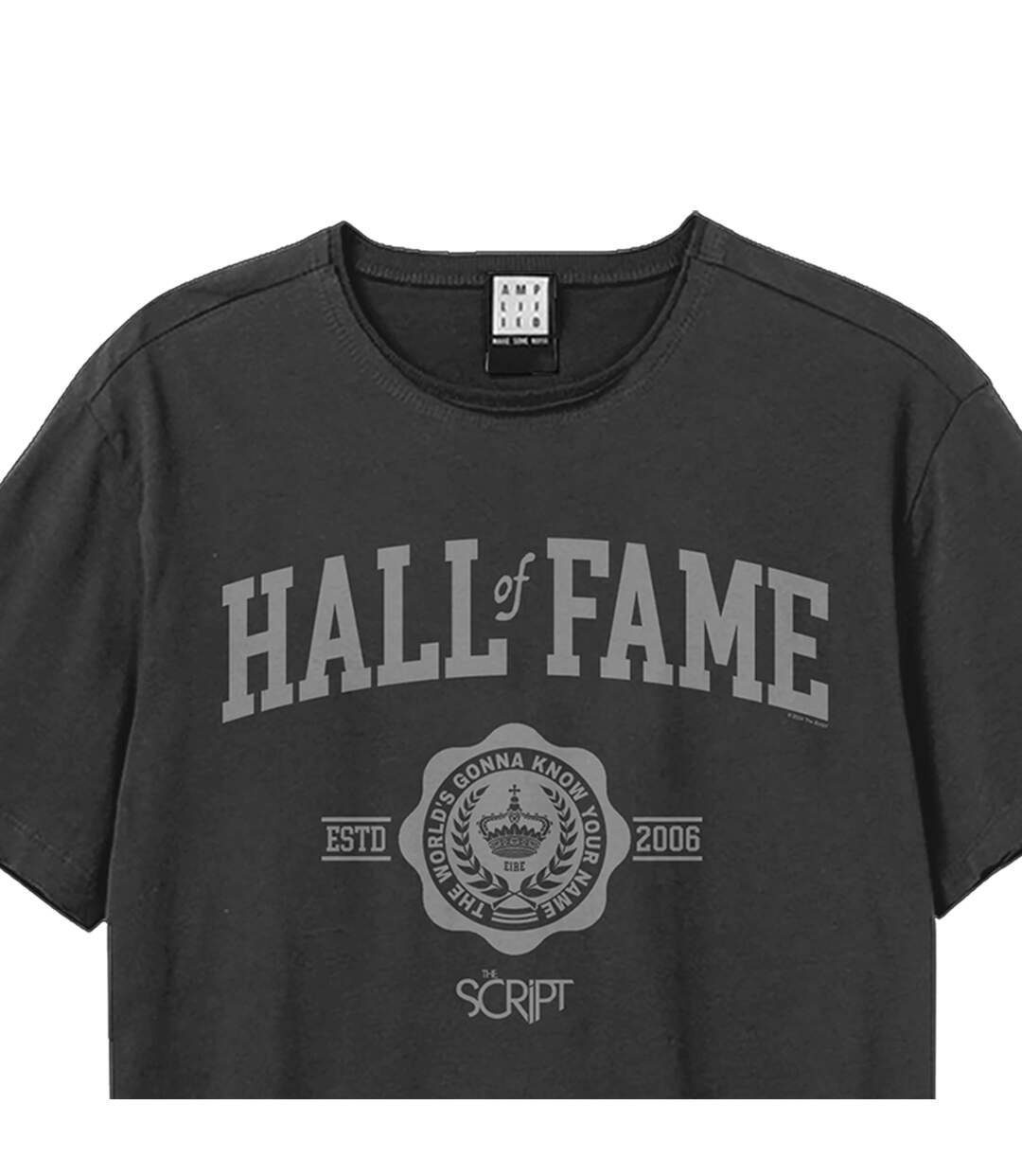 T-shirt Hall Of Fame Adulte Charbon Amplified-2
