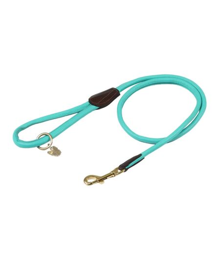 Rolled leather dog lead one size teal Digby & Fox