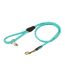 Rolled leather dog lead one size teal Digby & Fox-1