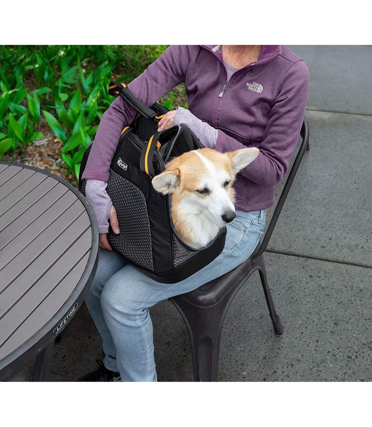 Kurgo Explorer Dog Carrier (Black) (29.2cm x 50.8cm x 25.4cm