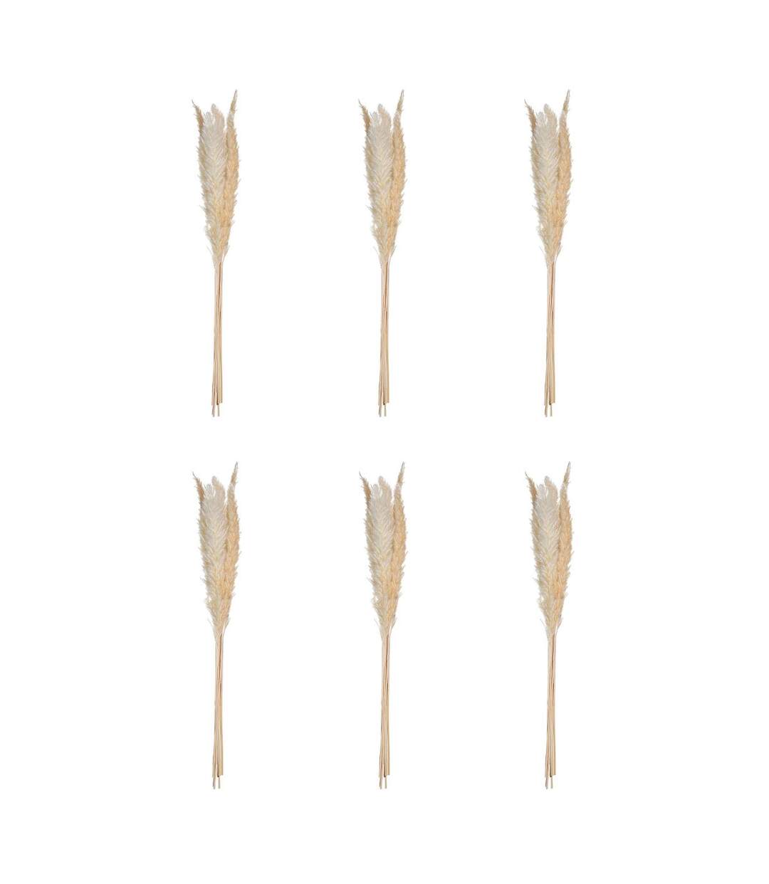 Lot de 6 Fleurs Séchées Pampa 66cm Naturel-1