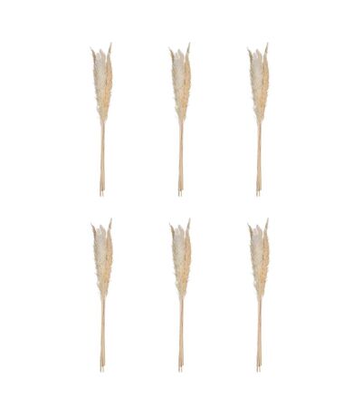 Lot de 6 Fleurs Séchées Pampa 66cm Naturel