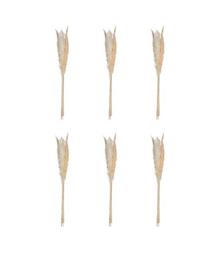 Lot de 6 Fleurs Séchées Pampa 66cm Naturel