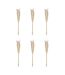 Lot de 6 Fleurs Séchées Pampa 66cm Naturel-1