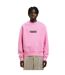 Unisex Adult Logo Sweatshirt Pink Palm Angels-1