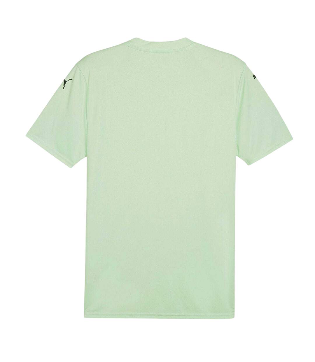 Mens Teamglory Chevron T-shirt Fresh Mint Black Puma-2