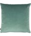 Ashley Wilde Myall Cushion Cover (Celadon Green/River Green) (One Size)