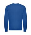 Awdis Mens Organic Sweatshirt (Royal Blue)