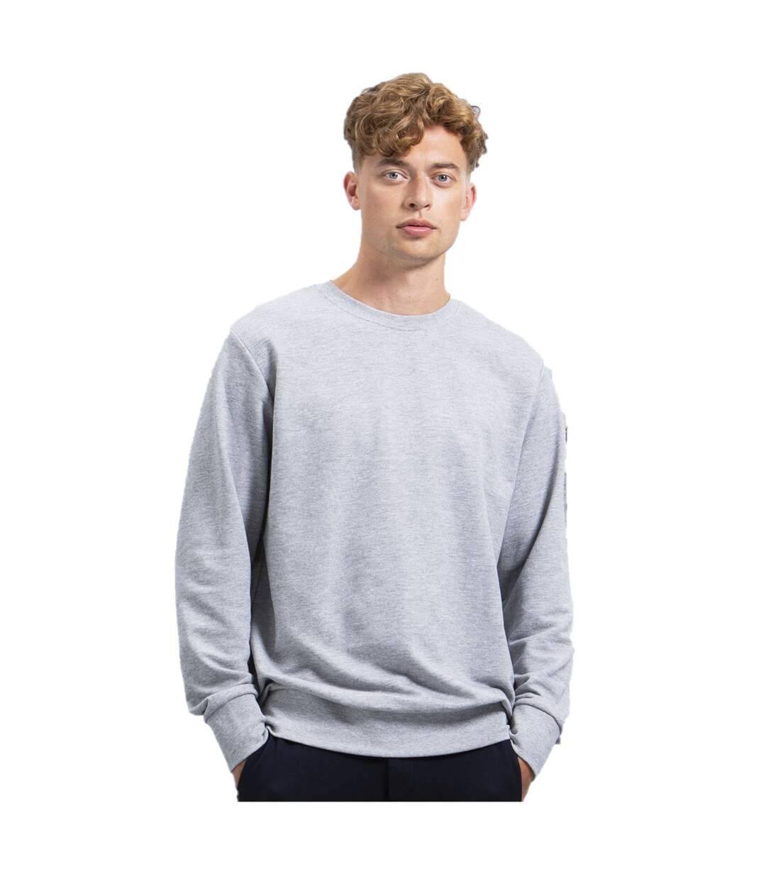 Mantis Unisex Adult Sweatshirt (Gray Heather) - UTBC4746-1