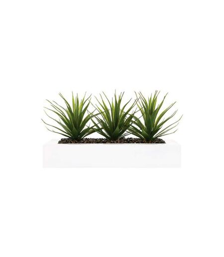 Centre de Table Aloe Vera Plant 31cm Blanc
