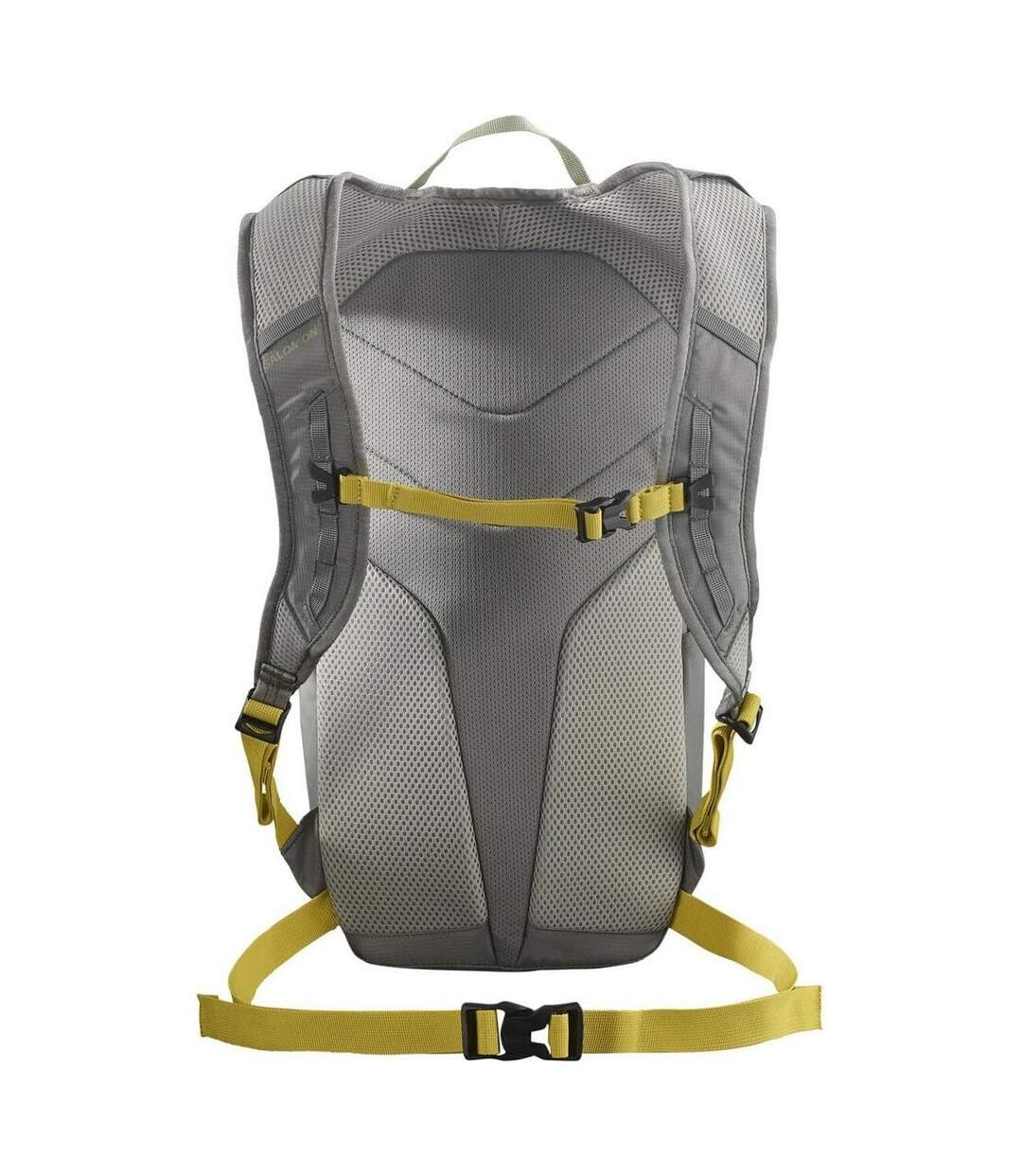 Sac À Dos Trailblazer 10 L Gris Salomon-3