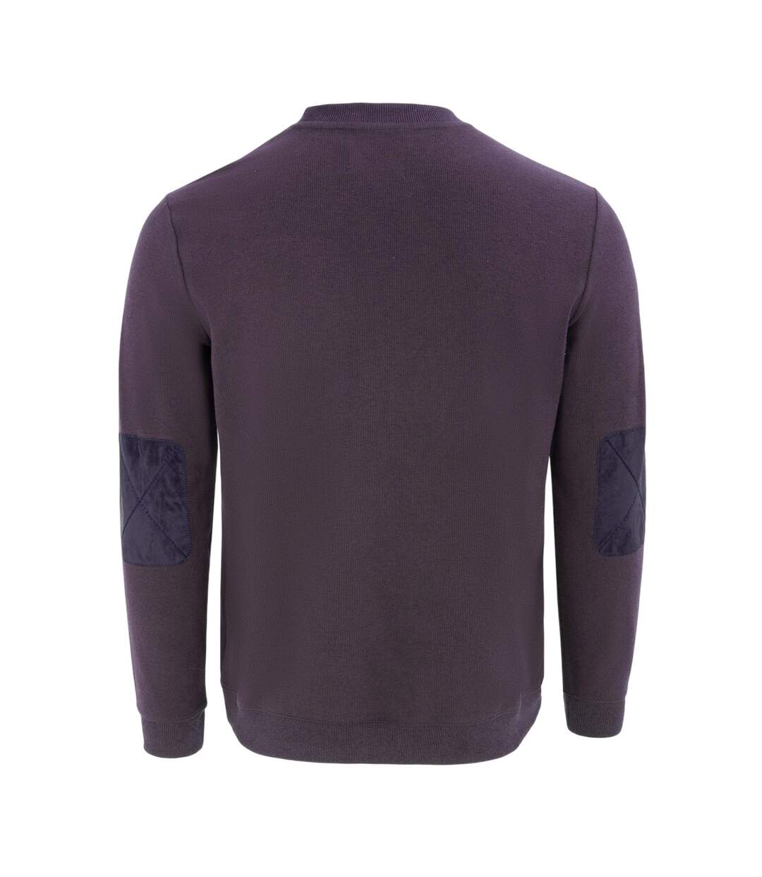 Sweat Motif/style Logo Homme Violet Howick-2